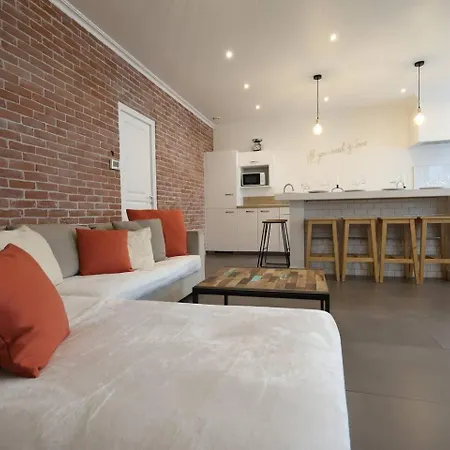 Lenoir Magnifique Maison 8 Pers Avec Terrasse Apartment